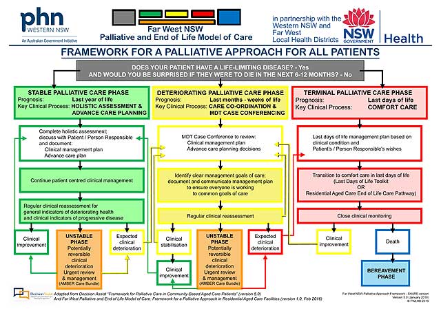 electronic Palliative Approach Framework
