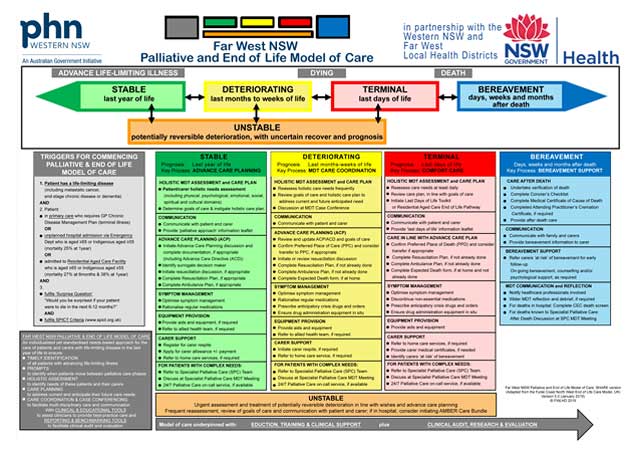 electronic Palliative Approach Framework